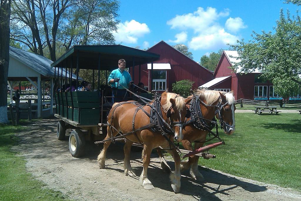 Amish Inn Nappanee المظهر الخارجي الصورة